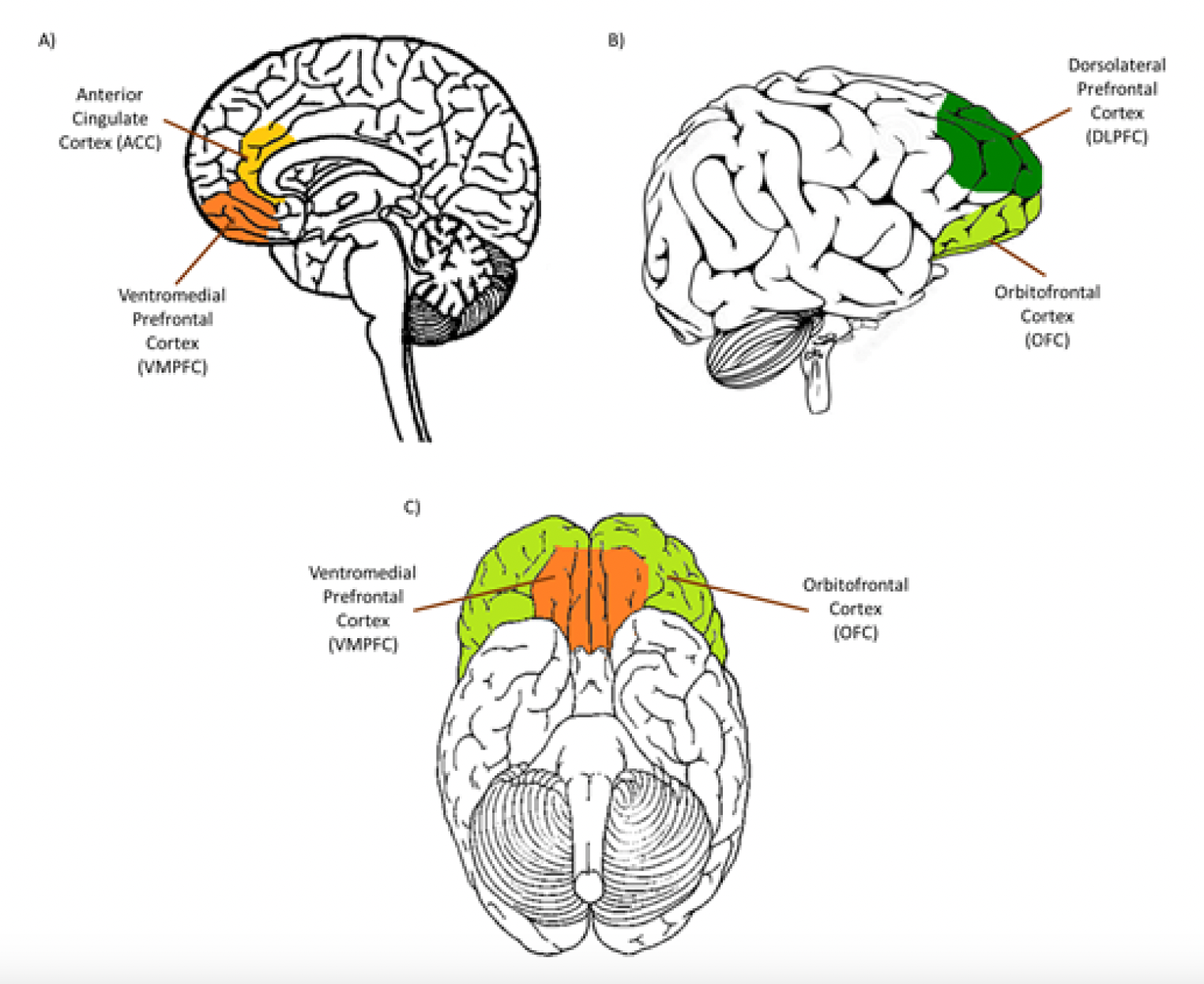 Personality assessment based on biosignals during a decision-making task